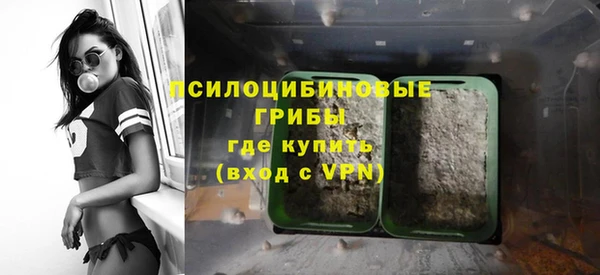 гашик Касимов
