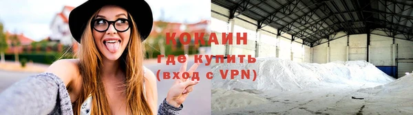 ГАЛЛЮЦИНОГЕННЫЕ ГРИБЫ Кодинск