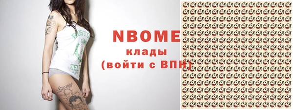 гашик Касимов