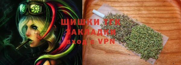 ГАЛЛЮЦИНОГЕННЫЕ ГРИБЫ Кодинск