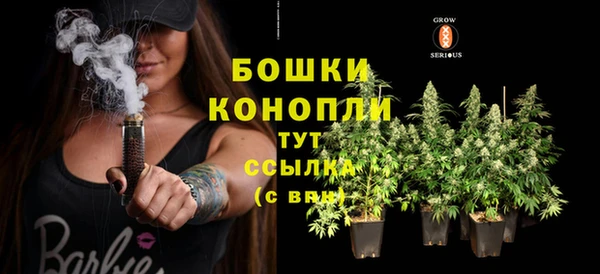ГАЛЛЮЦИНОГЕННЫЕ ГРИБЫ Кодинск