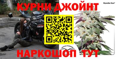 PSILOCYBIN Краснодар