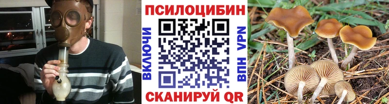 Псилоцибиновые грибы мицелий что такое наркотик Лабинск