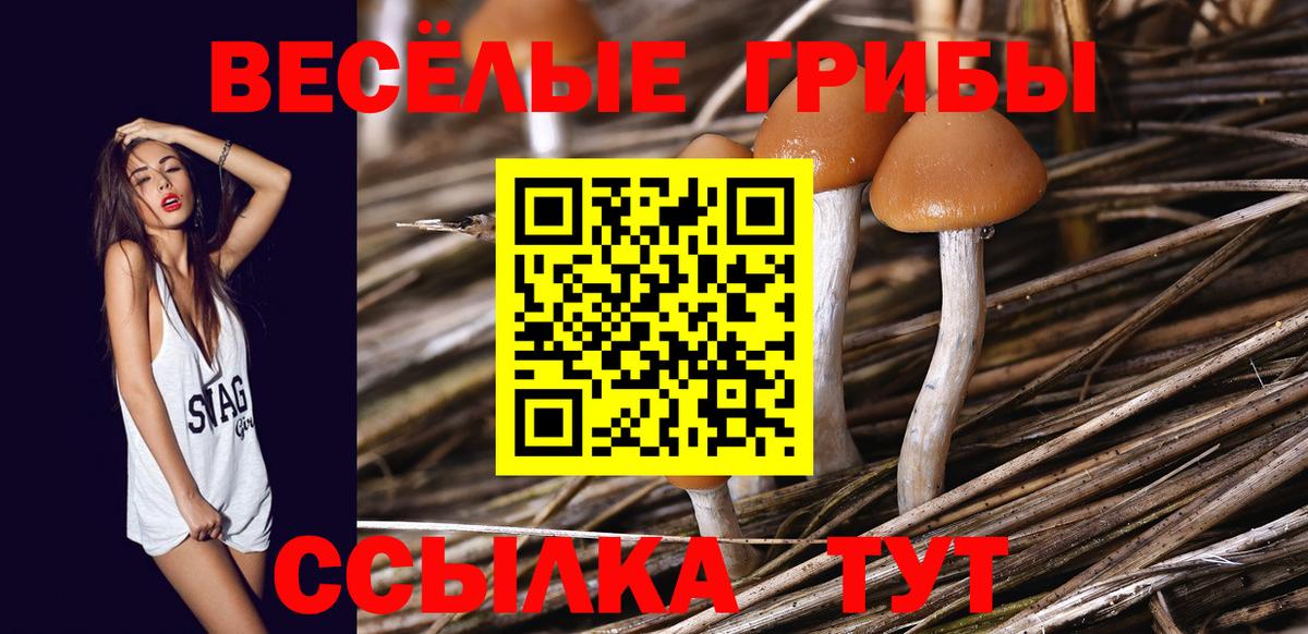 Псилоцибиновые грибы Magic Shrooms Лабинск
